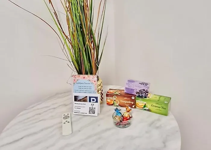 With Free Parking 卢布尔雅那